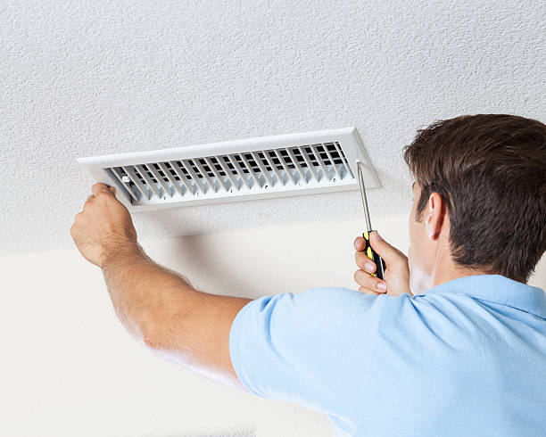 Best Mold Prevention Services  in USA